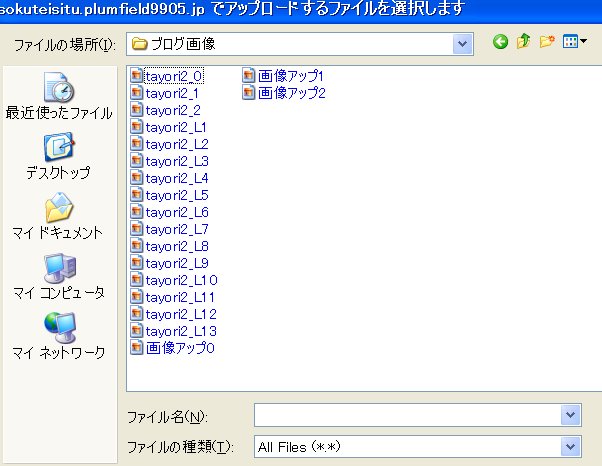 画像アップ3